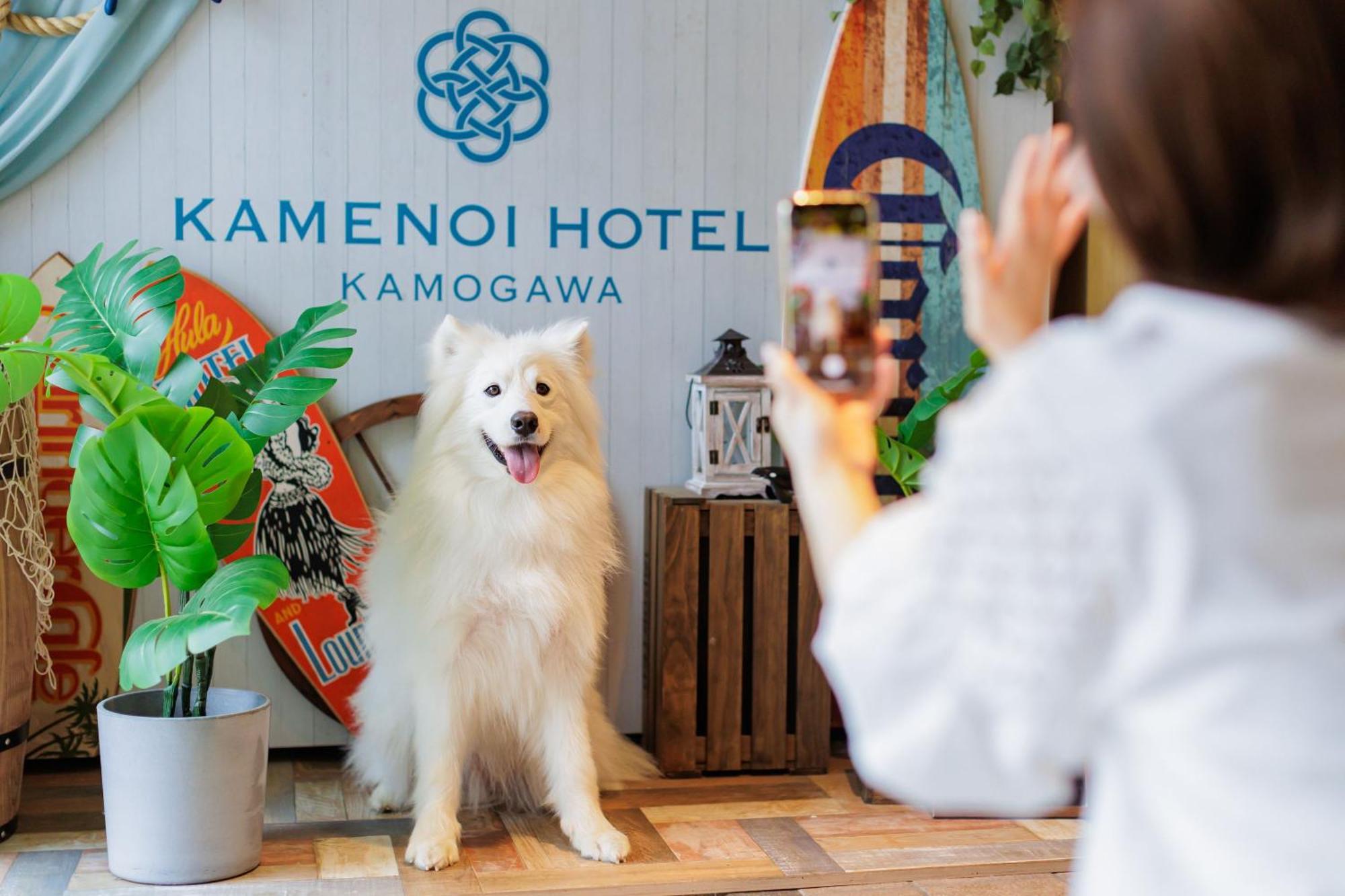 Kamenoi Hotel Kamogawa Ngoại thất bức ảnh